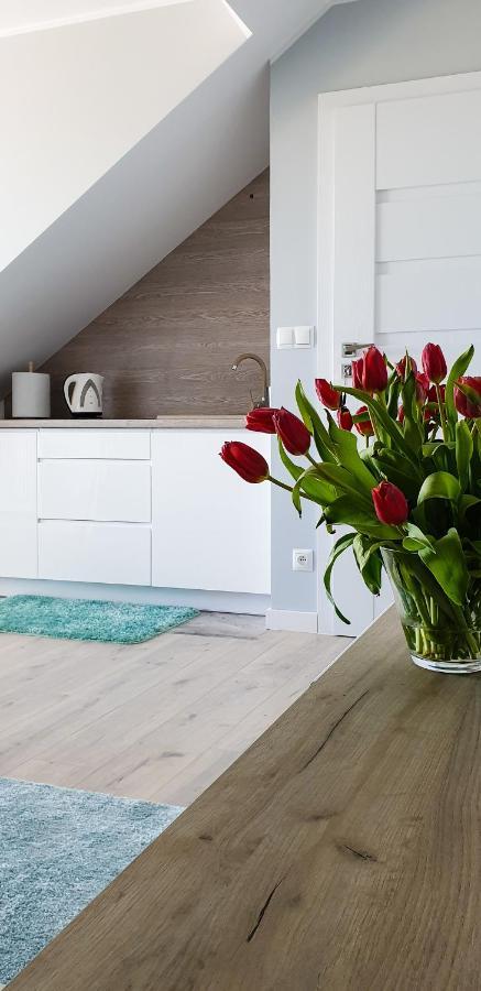Apartament Jaś i Małgosia Władysławowo Zewnętrze zdjęcie